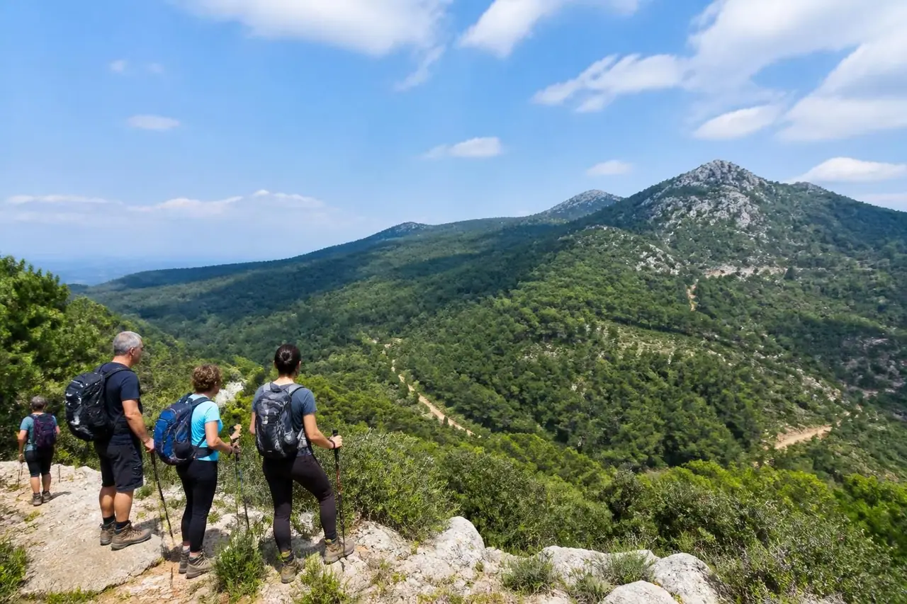explorez le mont vinaigre avec notre guide complet pour une randonnée réussie : conseils pratiques, itinéraires, et incontournables pour une aventure inoubliable.