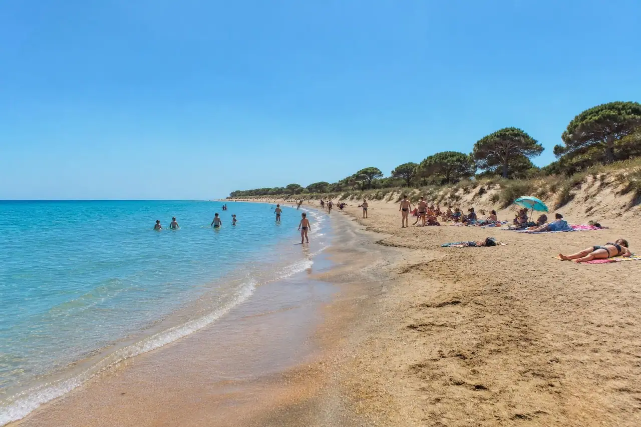découvrez béziers plage avec nos conseils pratiques pour profiter pleinement de votre journée au bord de la mer : activités, bons plans et astuces pour un séjour inoubliable.