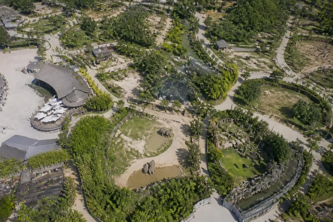 découvrez le plan du zoo de beauval et suivez notre guide pratique pour organiser une visite réussie et inoubliable avec toute la famille.