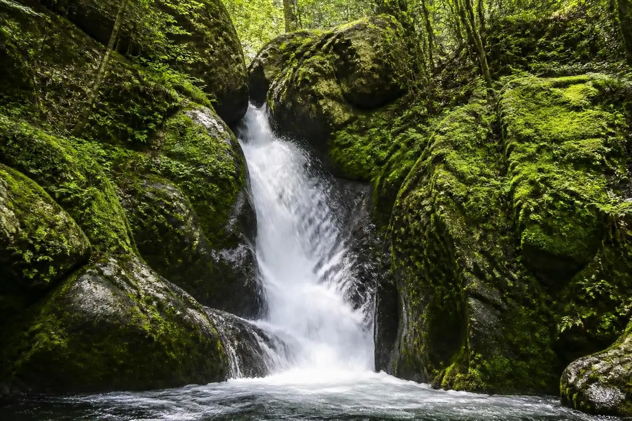 découvrez la cascade de la vis à saint-laurent-du-minier, un trésor naturel incontournable offrant des paysages magnifiques et une escapade nature authentique.