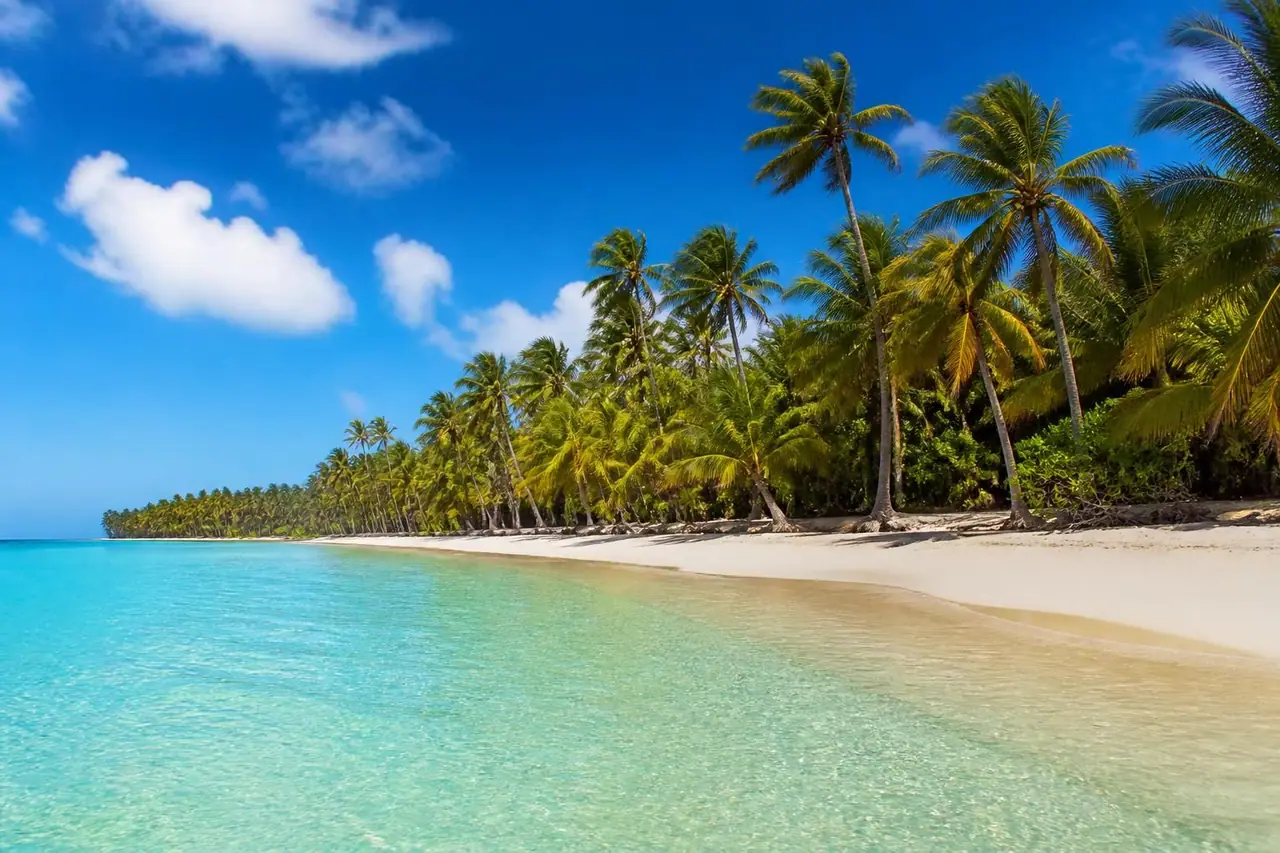 découvrez la meilleure période pour partir en république dominicaine et profiter d'un climat idéal. conseils pour organiser votre voyage et vivre une expérience inoubliable sous le soleil des caraïbes.