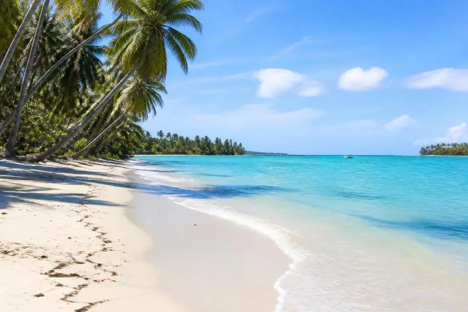 découvrez la meilleure période pour partir en république dominicaine et profiter d'un climat idéal. conseils pratiques pour planifier votre voyage au soleil et éviter les saisons des pluies.
