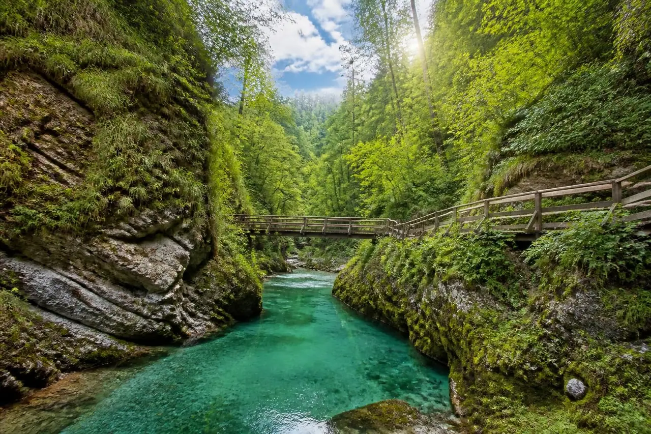 explorez la gorge de vintgar en slovénie, un site naturel spectaculaire offrant des paysages époustouflants, des sentiers de randonnée accessibles et une expérience inoubliable au cœur de la nature.