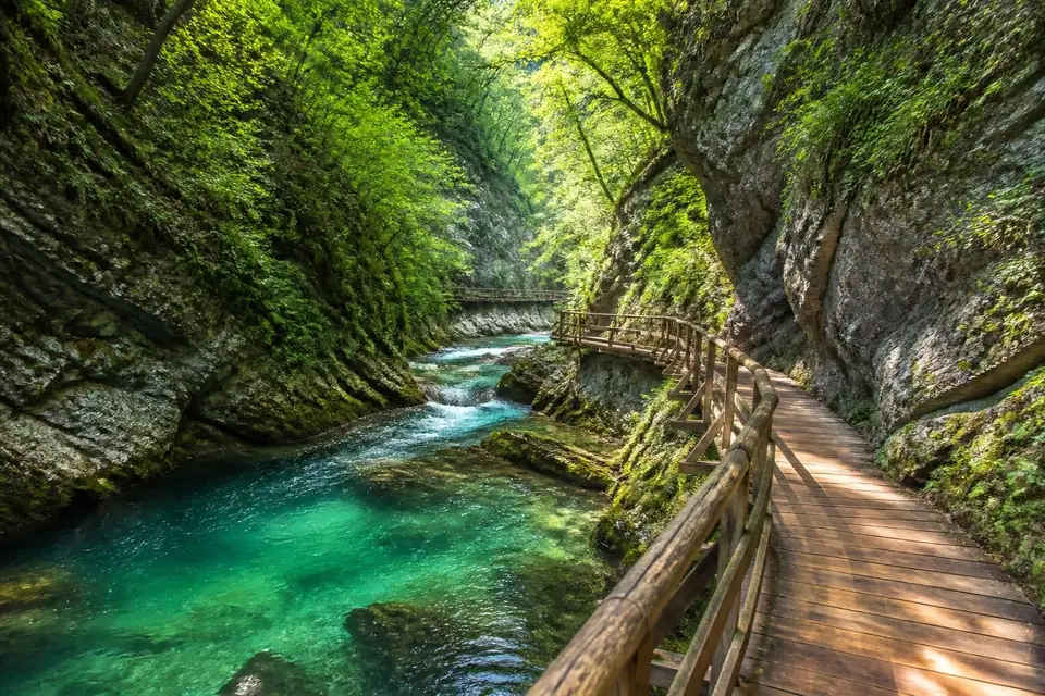 explorez la gorge de vintgar en slovénie, un site naturel spectaculaire offrant des paysages uniques, des sentiers de randonnée accessibles et une expérience inoubliable au cœur de la nature préservée.