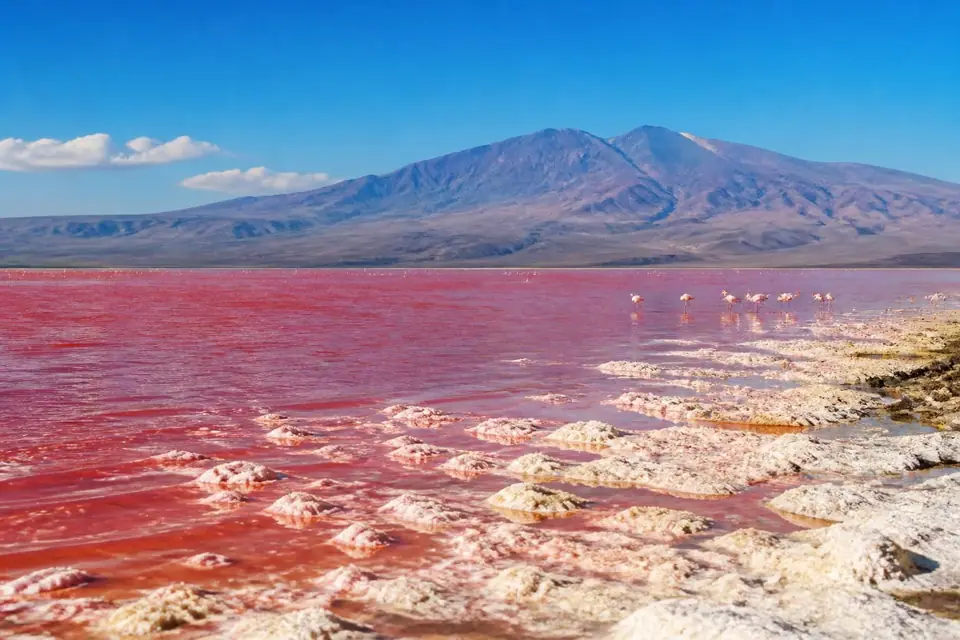 découvrez le lac natron en tanzanie, un lieu unique aux eaux rouges mystérieuses et aux paysages fascinants, abritant une biodiversité surprenante et des phénomènes naturels étonnants.