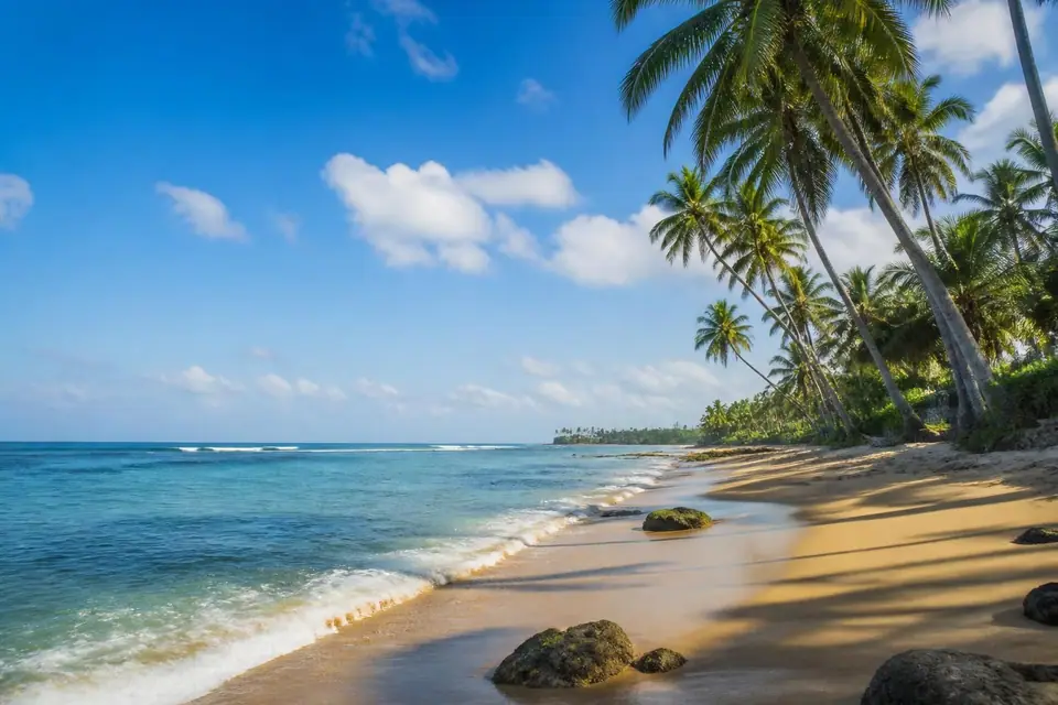 découvrez le meilleur moment pour partir au sri lanka et éviter la saison des pluies grâce à notre guide complet. planifiez votre voyage idéal en bénéficiant d'un climat optimal et profitez pleinement de cette île paradisiaque.