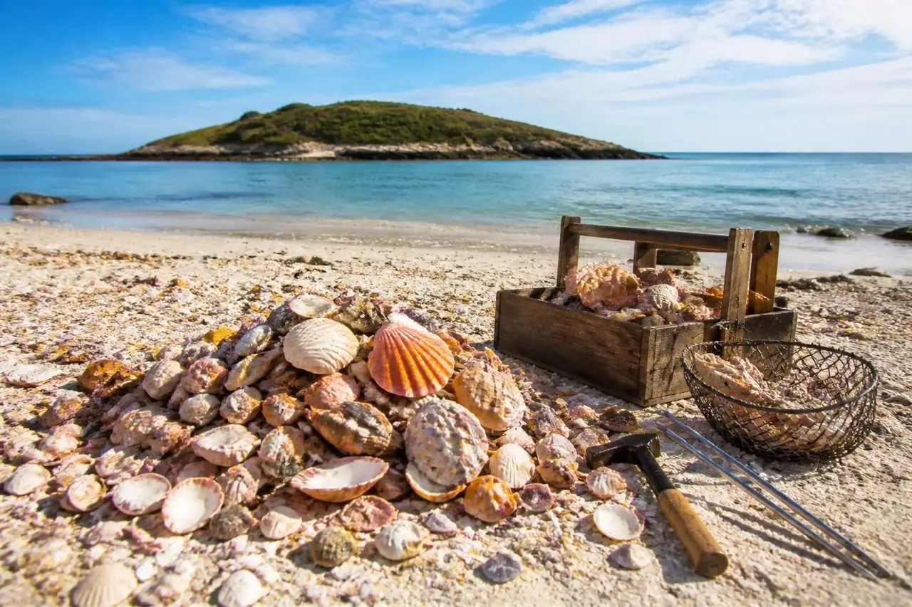 découvrez l'île penotte aux sables d'olonne, un trésor unique orné de magnifiques œuvres en coquillages. plongez dans cet univers artistique et naturel exceptionnel.