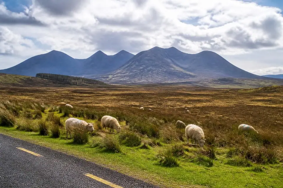 découvrez le parc national du connemara, ses randonnées incontournables et nos conseils pratiques pour une visite réussie au cœur de paysages sauvages et préservés.