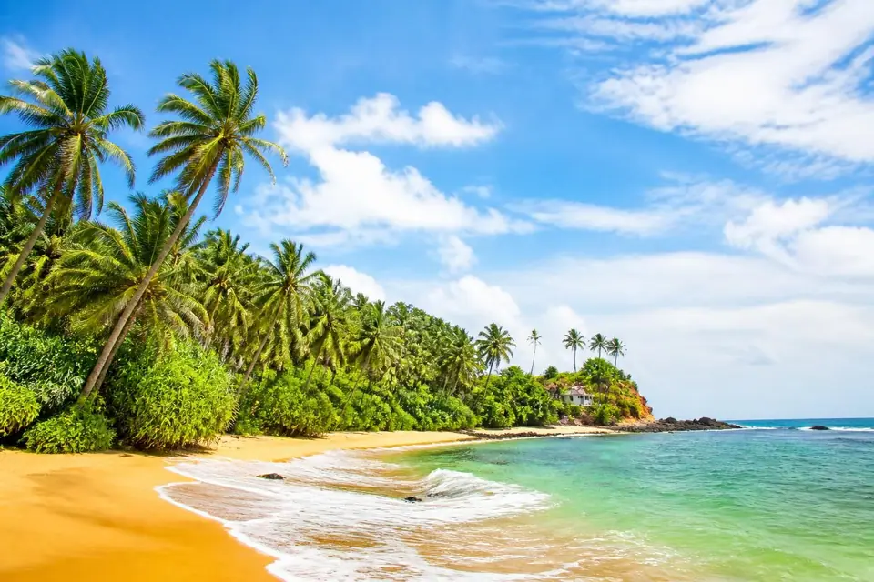 découvrez les incontournables du sri lanka avec mon guide complet 2026 : conseils, itinéraires et astuces pour un voyage inoubliable.