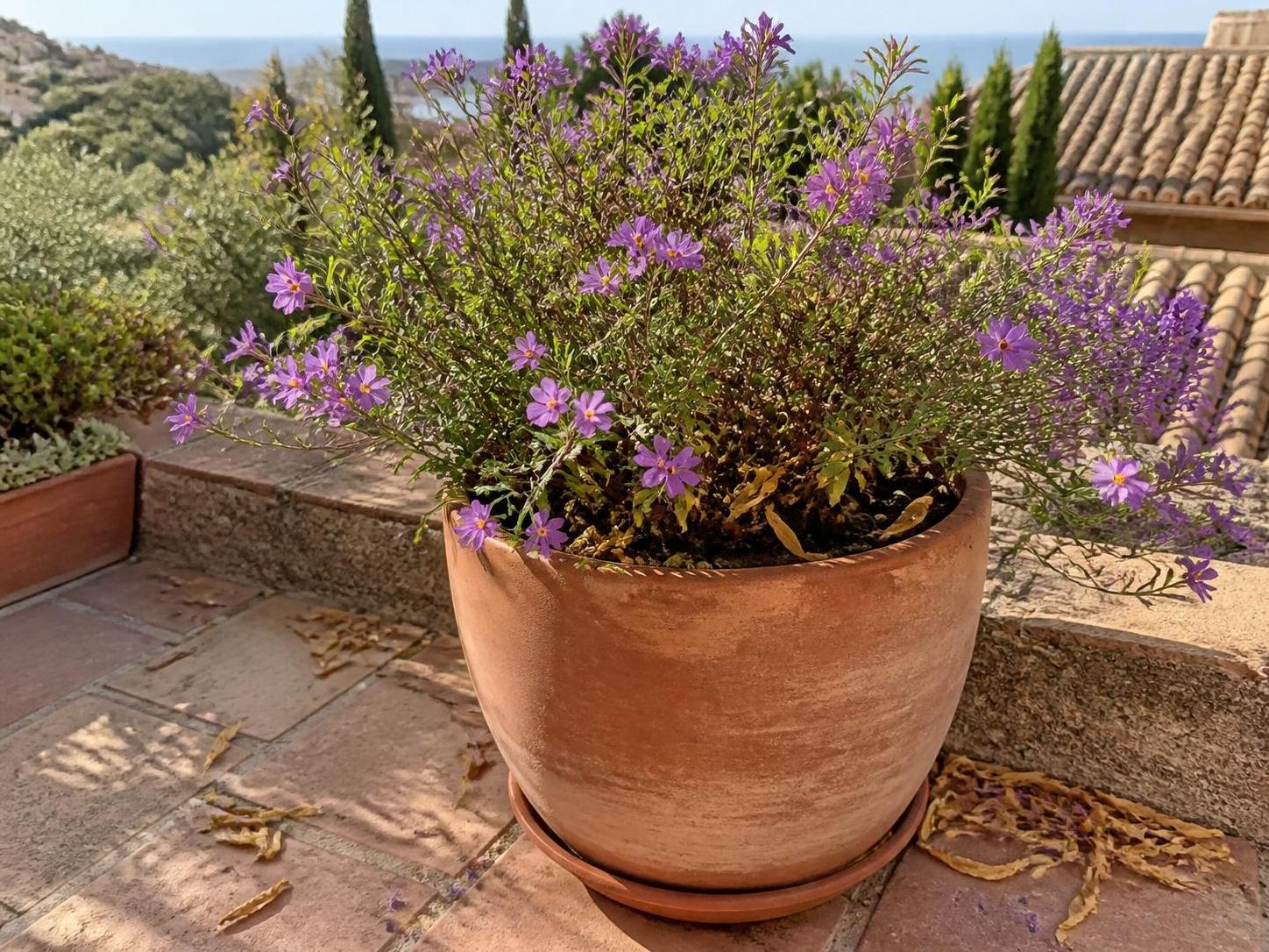 découvrez pourquoi les feuilles de votre polygala myrtifolia jaunissent et apprenez des solutions efficaces pour redonner santé et éclat à votre plante.