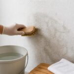 apprenez à nettoyer efficacement une tâche d’humidité sur un mur à la chaux grâce à nos conseils pratiques et méthodes adaptées pour préserver l'intégrité de vos murs.