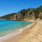 explorez les plus belles plages d'espagne pour des vacances inoubliables. guide complet des destinations incontournables pour profiter du soleil, de la mer et du sable fin.