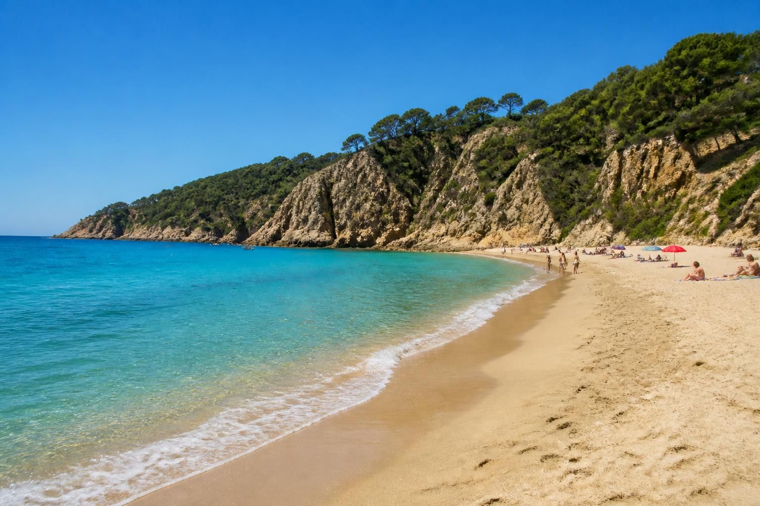 explorez les plus belles plages d'espagne pour des vacances inoubliables. guide complet des destinations incontournables pour profiter du soleil, de la mer et du sable fin.
