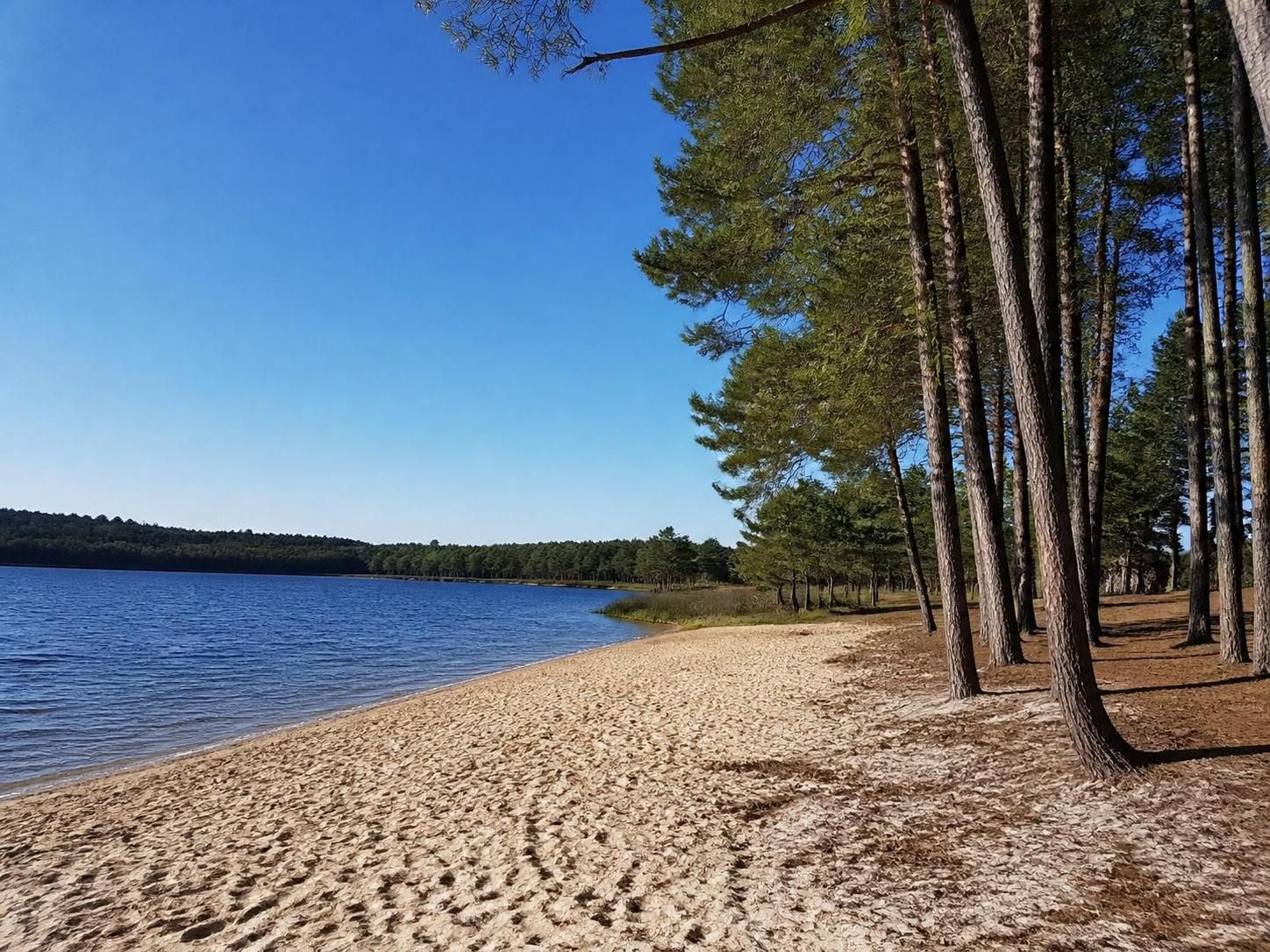 découvrez les nombreux avantages de choisir un camping à biscarrosse pour vos prochaines vacances : nature, détente, activités variées et cadre idéal pour toute la famille.