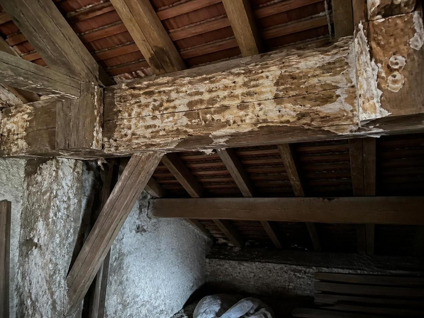 découvrez comment identifier la mérule et l'humidité dans votre maison, et apprenez les méthodes efficaces pour les diagnostiquer et les traiter afin de protéger votre habitat.