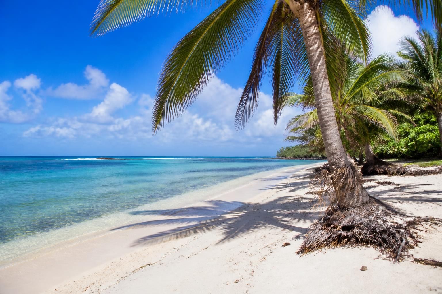 découvrez les meilleures destinations en mars pour profiter du soleil et de la chaleur, que ce soit à la plage ou en pleine nature. guide complet pour des vacances ensoleillées réussies.