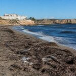 découvrez quelles plages éviter au cap d’agde pour des vacances réussies en 2026 grâce à notre guide complet et profitez pleinement de votre séjour balnéaire.