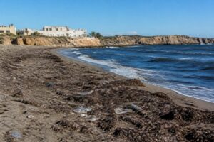 découvrez quelles plages éviter au cap d’agde pour des vacances réussies en 2026 grâce à notre guide complet et profitez pleinement de votre séjour balnéaire.