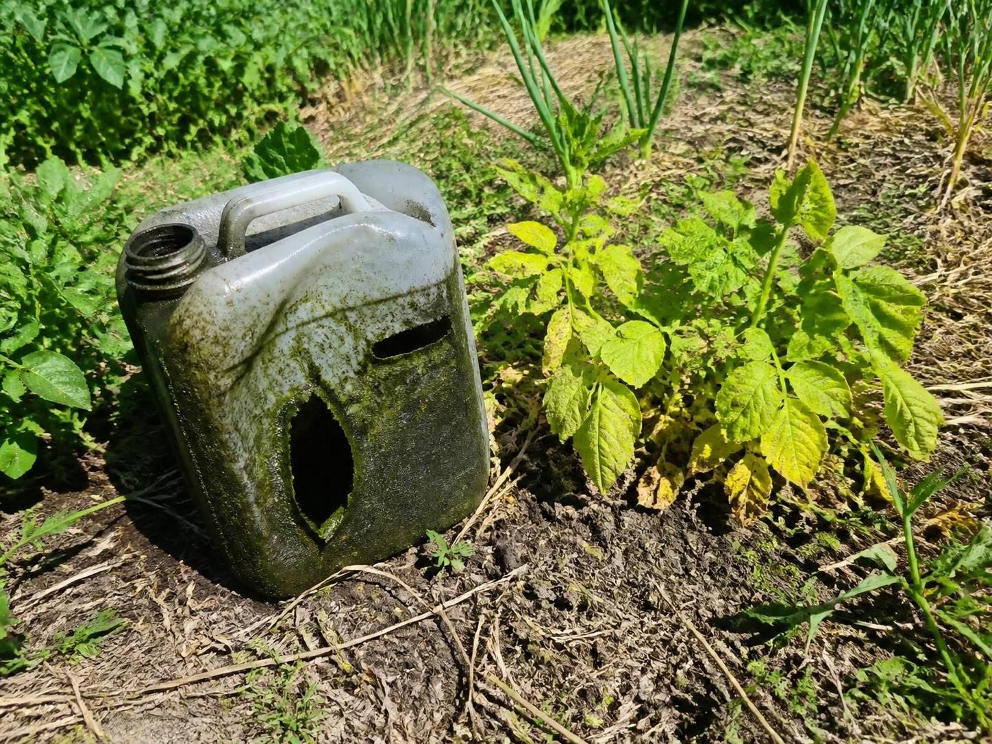découvrez comment gérer un purin d’ortie périmé et apprenez des astuces pour éviter ce problème, afin de maintenir votre jardin en pleine santé naturellement.