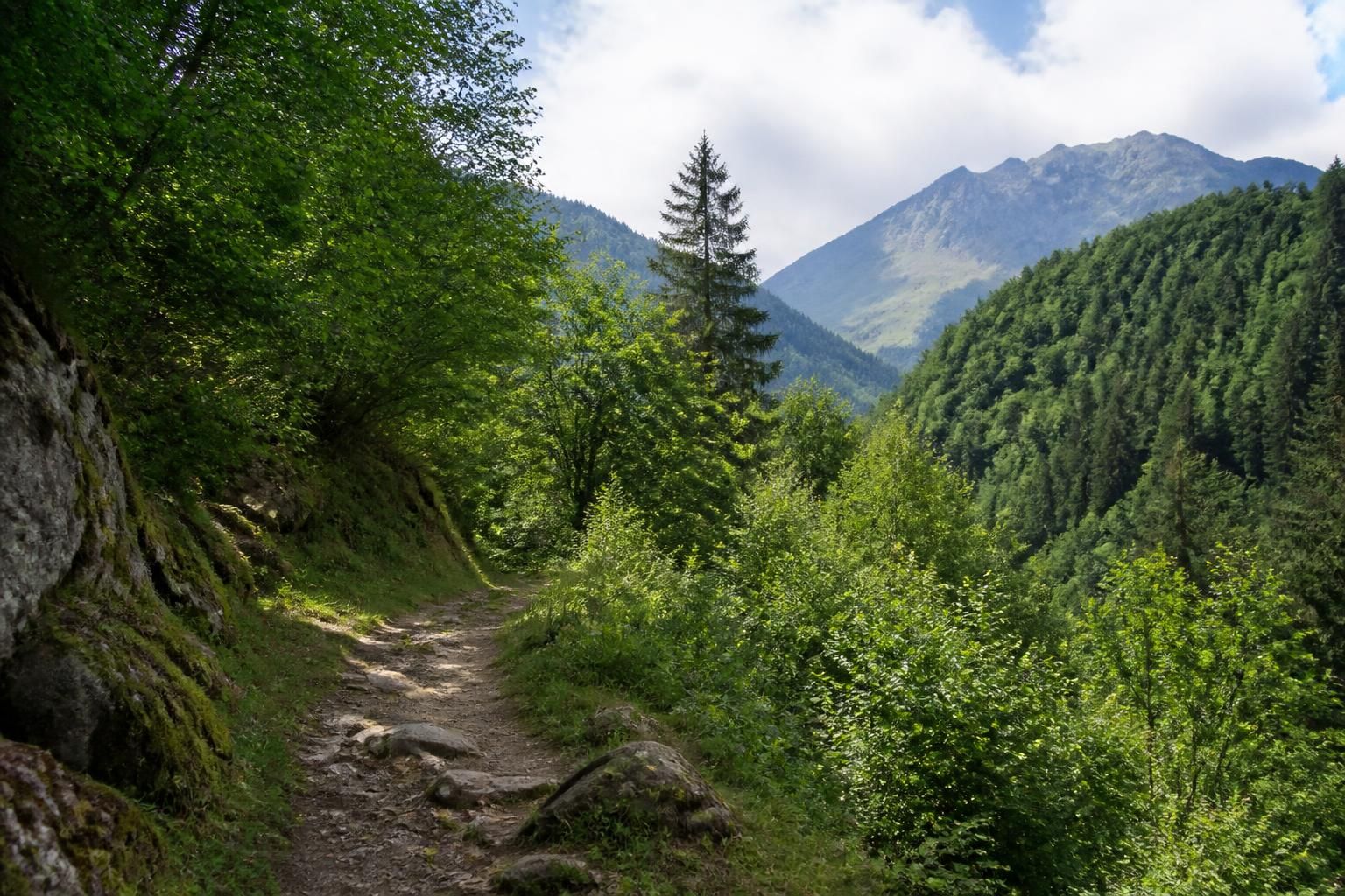 explorez deux parcs naturels français parfaits pour des vacances paisibles, loin de la foule et au cœur d'une nature préservée.