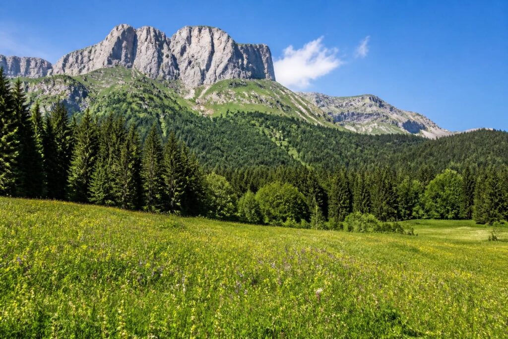 explorez deux parcs naturels français parfaits pour des vacances paisibles, loin de l'agitation et de la foule, offrant nature préservée et détente assurée.