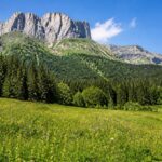 explorez deux parcs naturels français parfaits pour des vacances paisibles, loin de l'agitation et de la foule, offrant nature préservée et détente assurée.