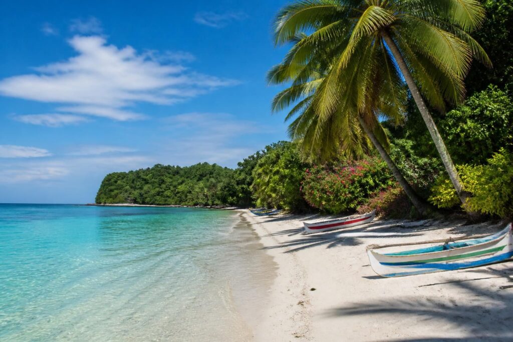 explorez nosy be à madagascar avec notre guide complet pour un voyage inoubliable. découvrez ses plages paradisiaques, sa faune unique et ses activités incontournables.