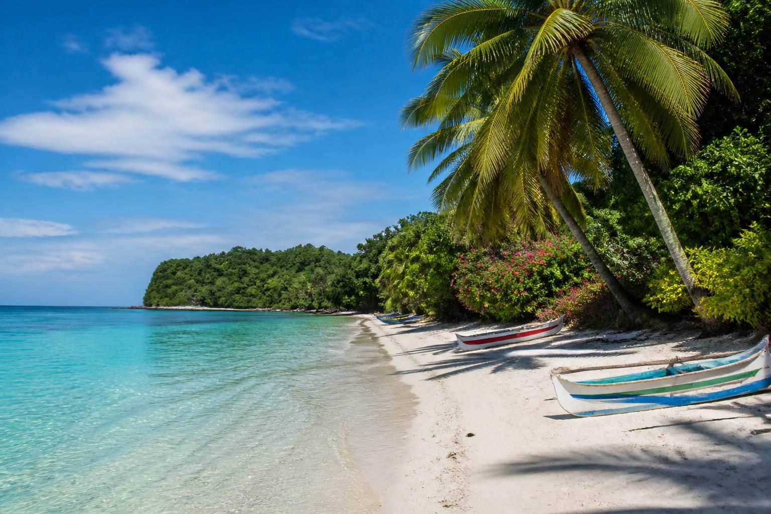explorez nosy be à madagascar avec notre guide complet pour un voyage inoubliable. découvrez ses plages paradisiaques, sa faune unique et ses activités incontournables.