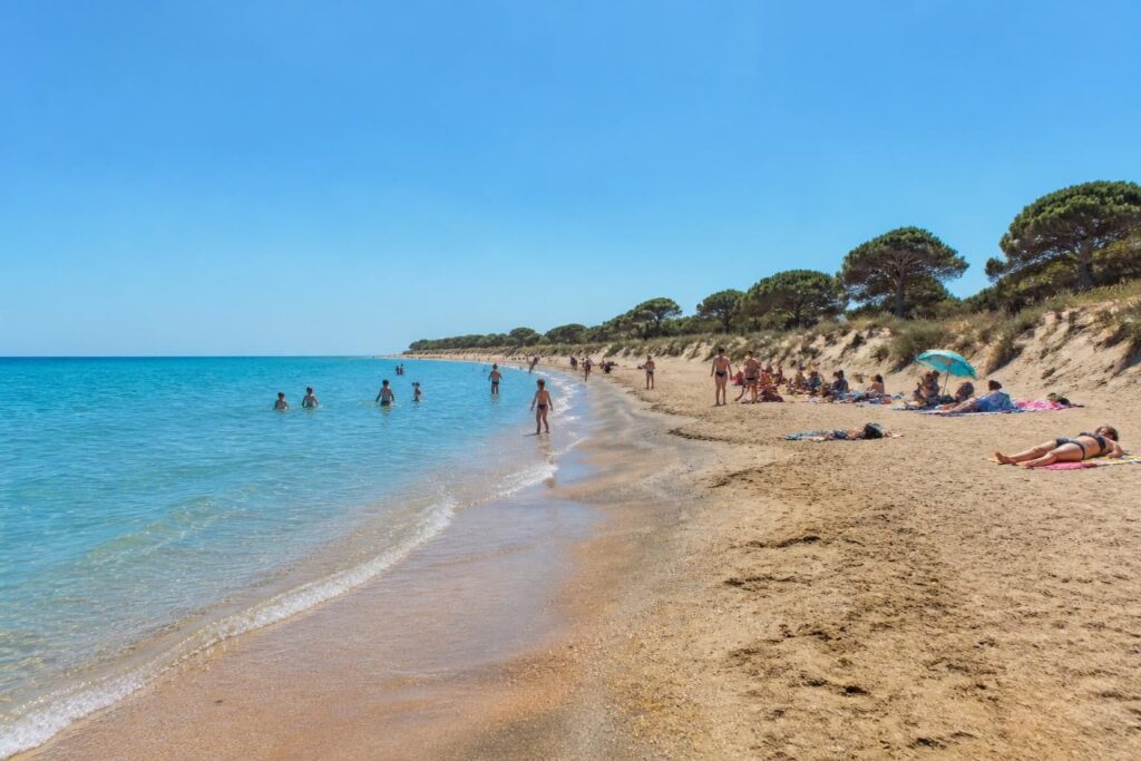 découvrez béziers plage avec nos conseils pratiques pour profiter pleinement de votre journée au bord de la mer : activités, bons plans et astuces pour un séjour inoubliable.