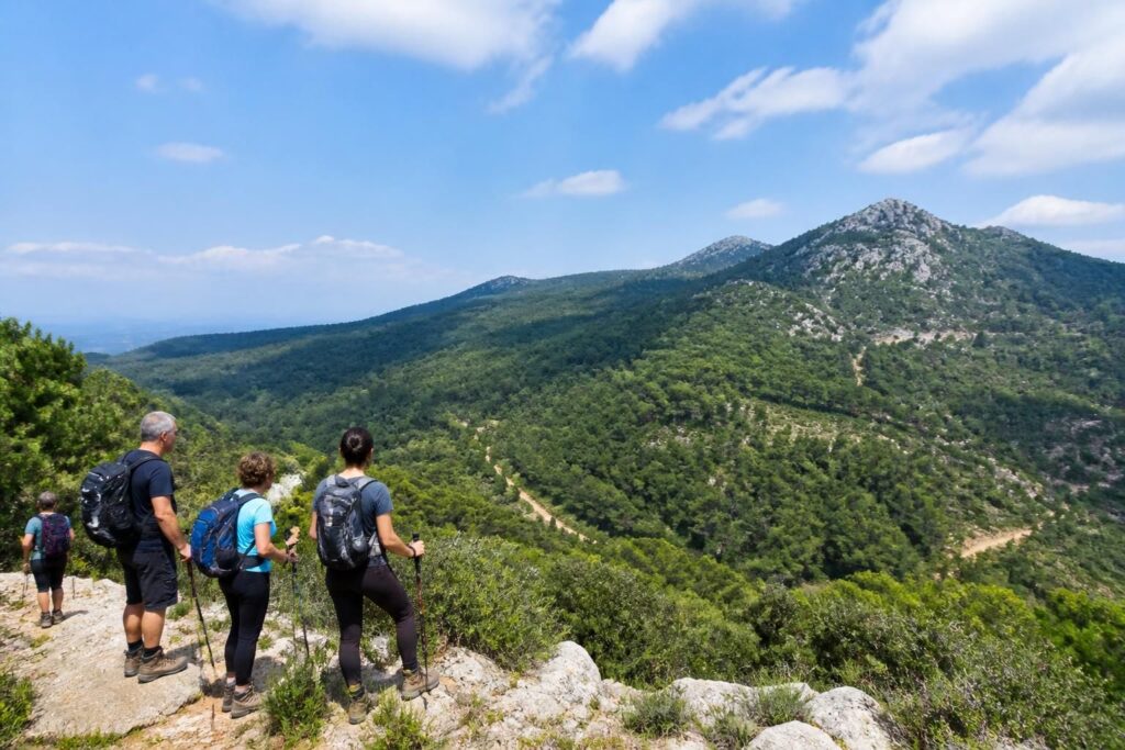 explorez le mont vinaigre avec notre guide complet pour une randonnée réussie : conseils pratiques, itinéraires, et incontournables pour une aventure inoubliable.