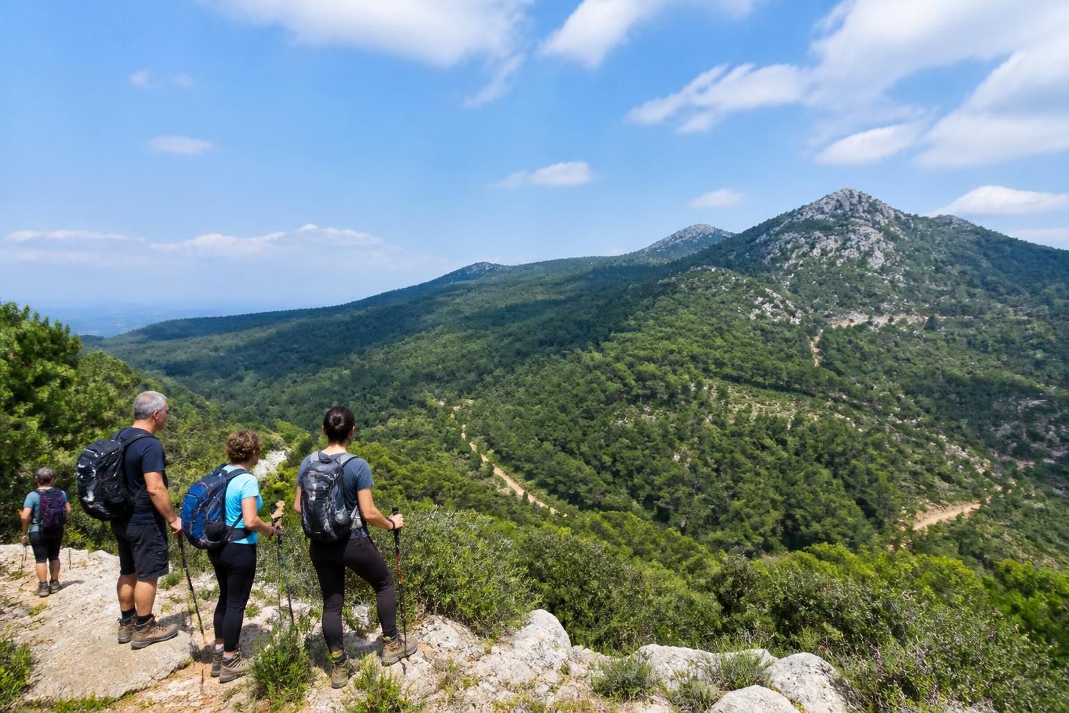 explorez le mont vinaigre avec notre guide complet pour une randonnée réussie : conseils pratiques, itinéraires, et incontournables pour une aventure inoubliable.