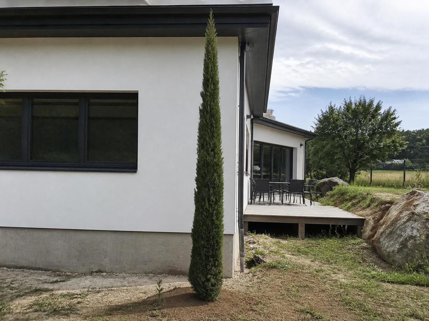 découvrez si planter un cyprès près de votre maison présente des risques pour la construction et comment éviter les problèmes liés à son installation.