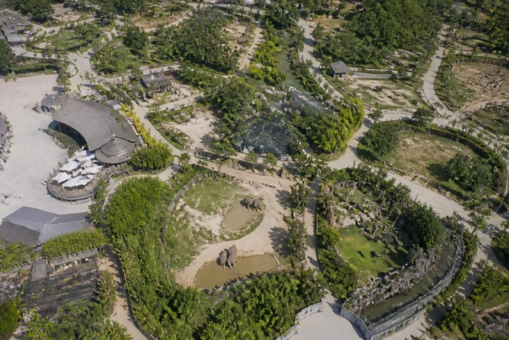 découvrez le plan du zoo de beauval et suivez notre guide pratique pour organiser une visite réussie et inoubliable avec toute la famille.