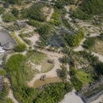 découvrez le plan du zoo de beauval et suivez notre guide pratique pour organiser une visite réussie et inoubliable avec toute la famille.